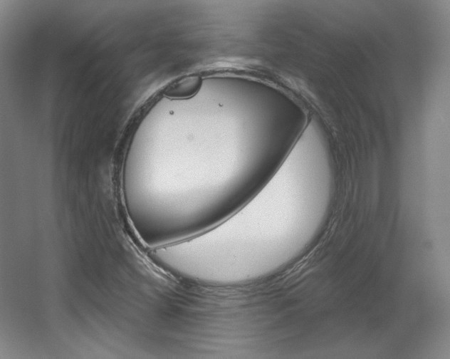 X0000068741404200604281004