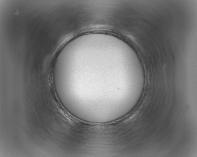 X0000068741405200604281004