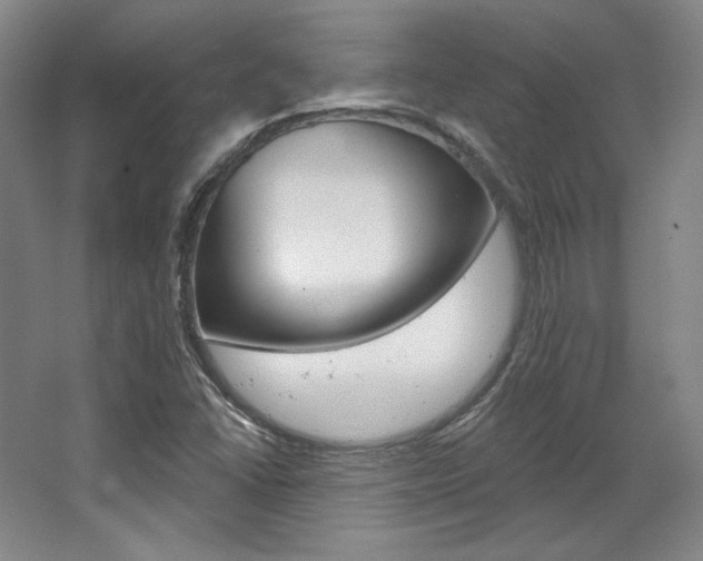 X0000068741406200604281004