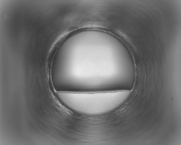 X0000068741408200604281004