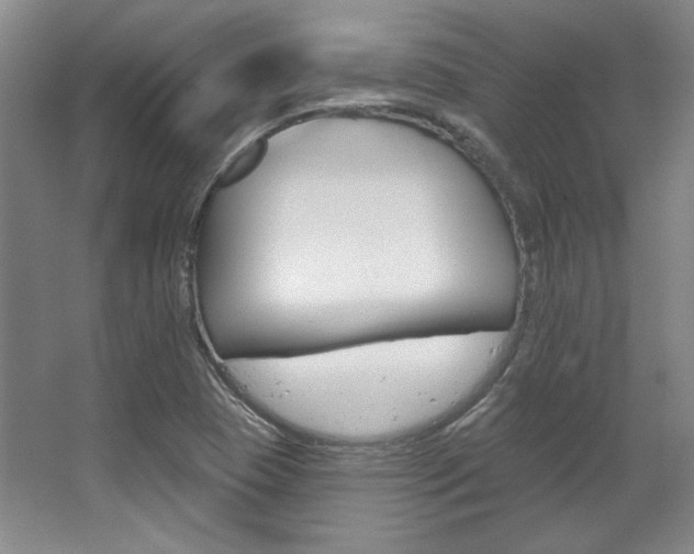 X0000068741409200604281004