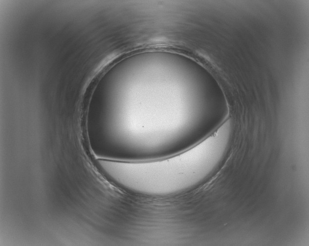 X0000068741410200604281004