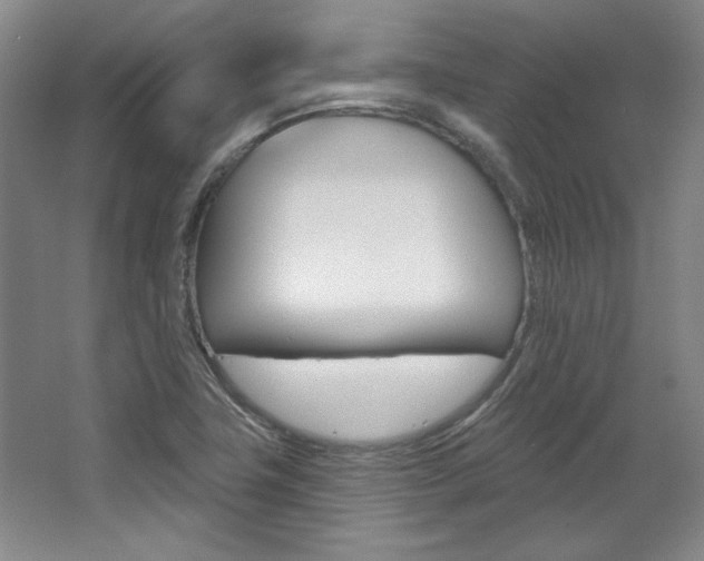 X0000068741411200604281004