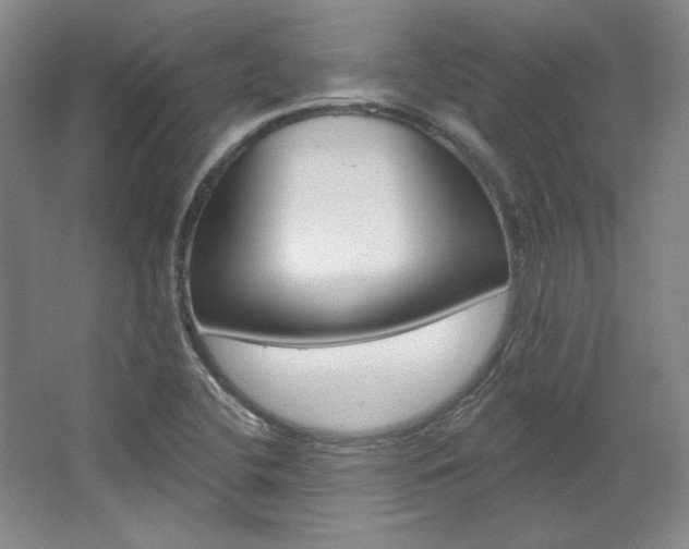 X0000068741412200604281004