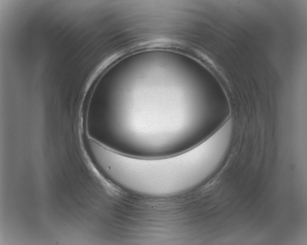 X0000068741418200604281004