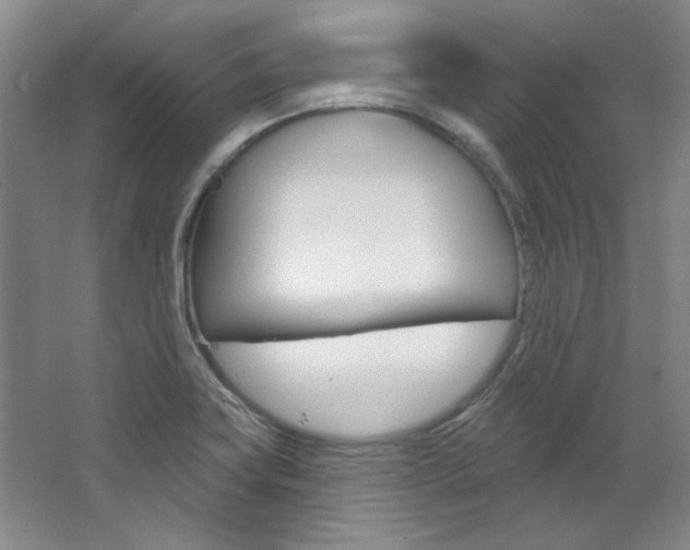 X0000068741419200604281004