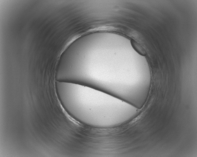 X0000068741425200604281004