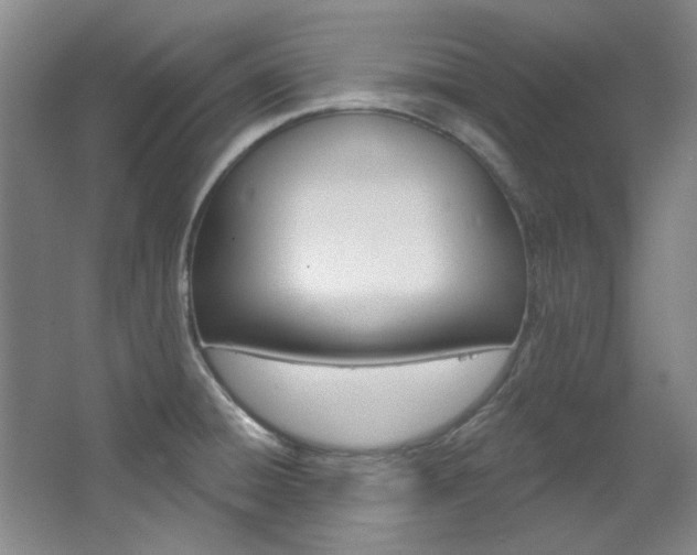 X0000068741428200604281004