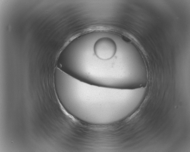 X0000068741433200604281004