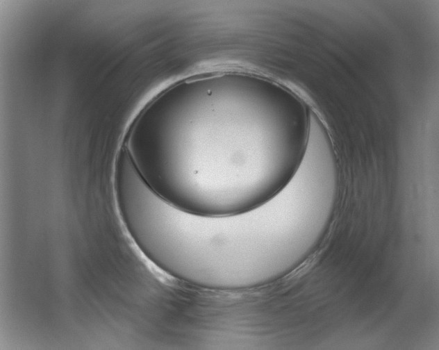 X0000068741438200604281005