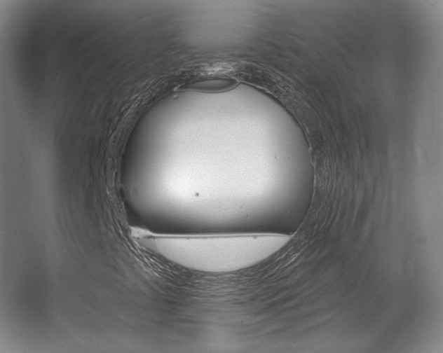 X0000068741441200604281004