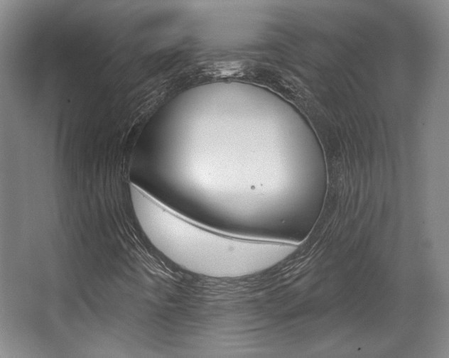 X0000068741442200604281004