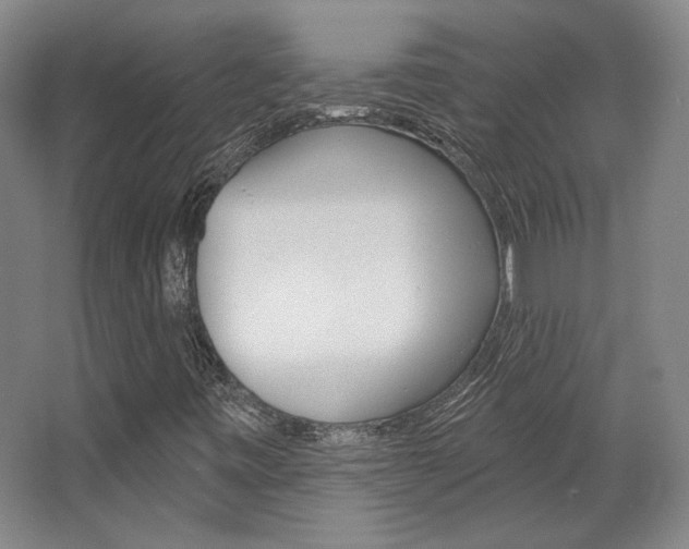 X0000068741443200604281004