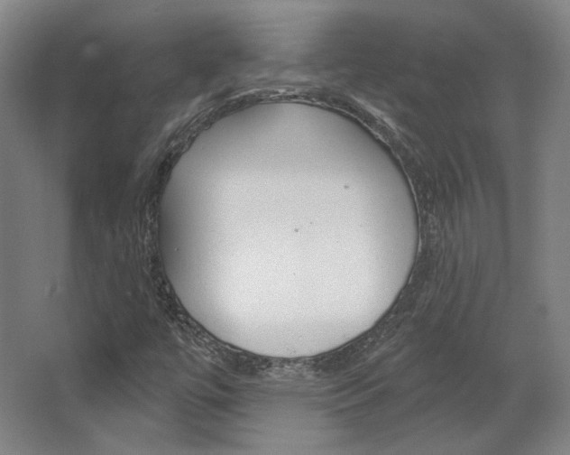 X0000068741447200604281004