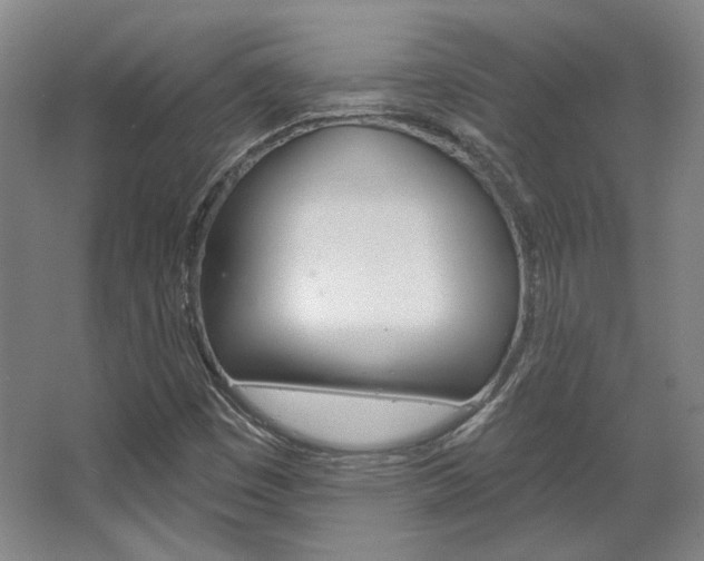 X0000068741449200604281004