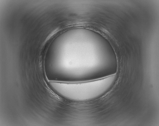 X0000068741450200604281004