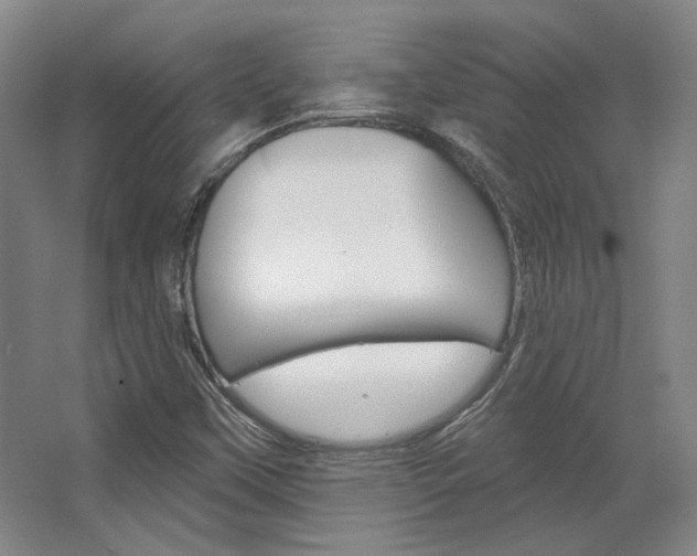 X0000068741451200604281004