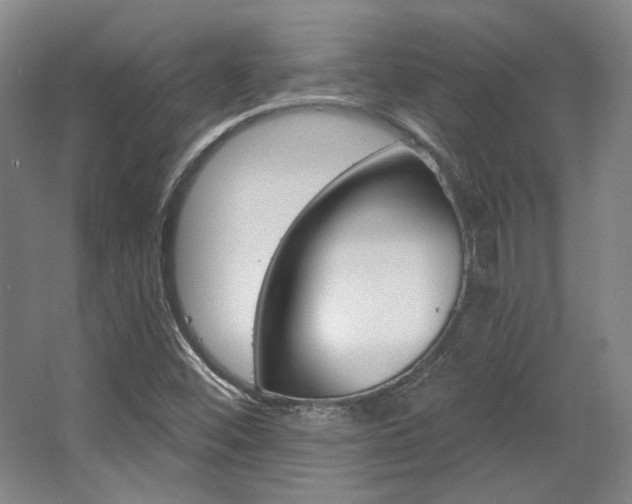 X0000068741452200604281004