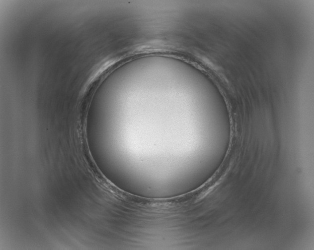 X0000068741453200604281004