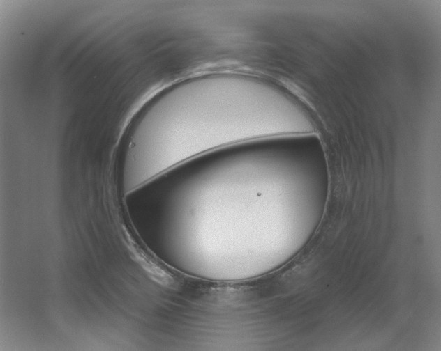X0000068741458200604281003
