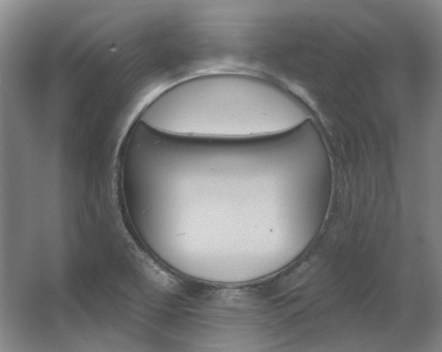 X0000068741463200604281003