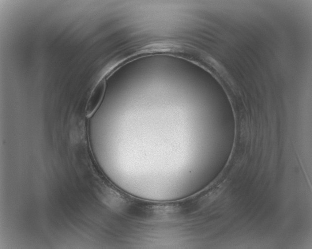 X0000068741465200604281003