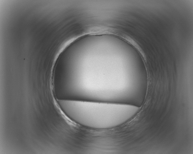 X0000068741485200604281003