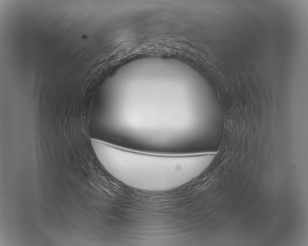 X0000068741490200604281002