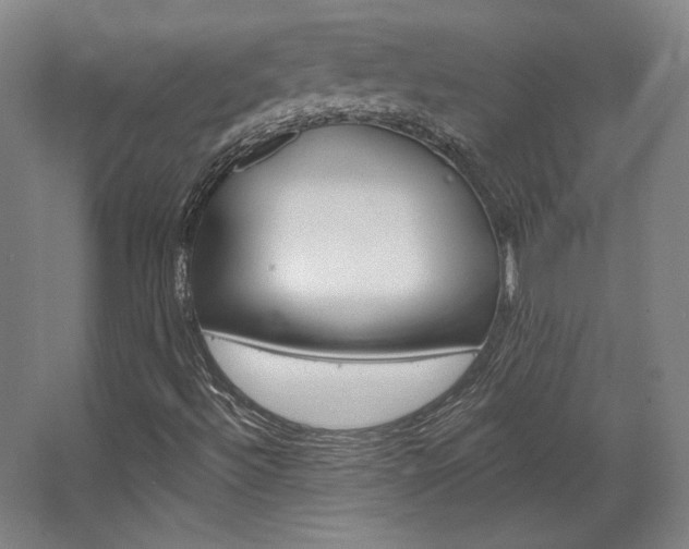 X0000068741492200604281002