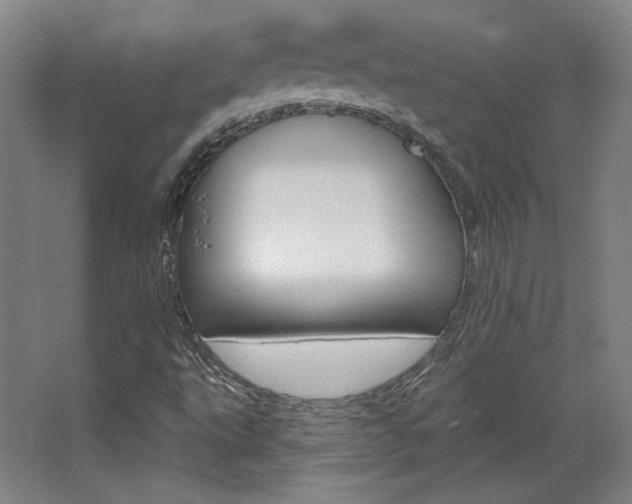 X0000068741495200604281002