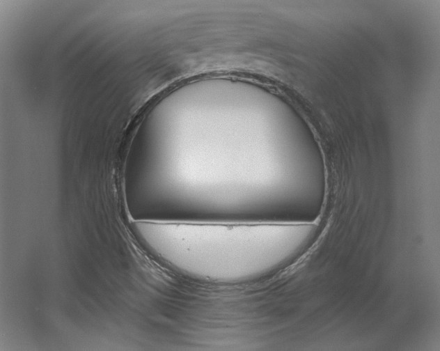 X0000068741497200604281002