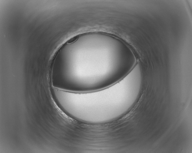 X0000068741500200604281002