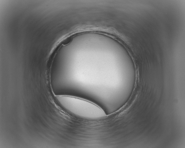 X0000068741501200604281002