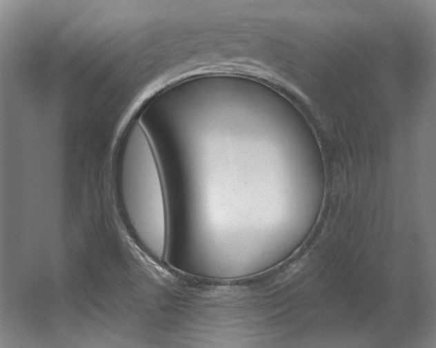 X0000068741506200604281002
