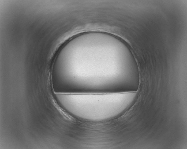 X0000068741507200604281002