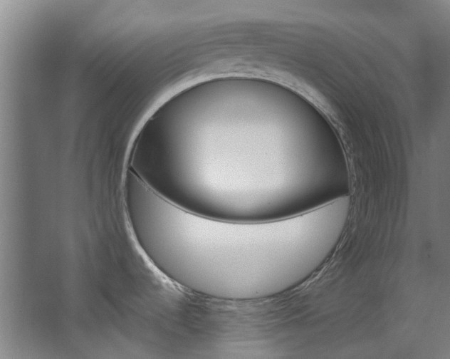 X0000068741536200604281003