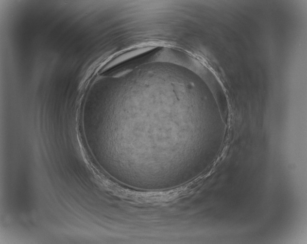 X0000068740001200604281152