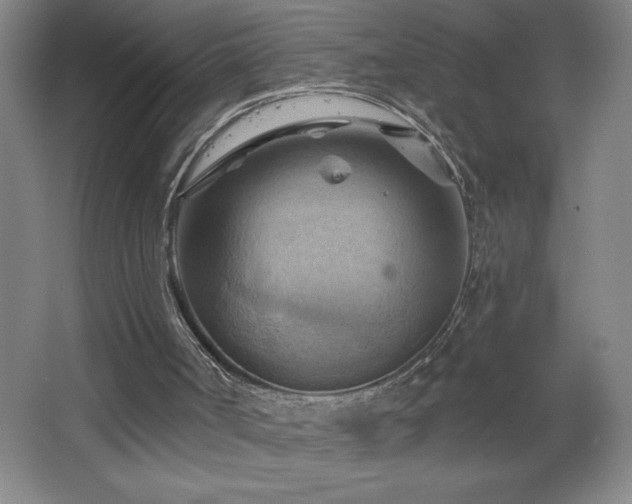 X0000068740002200604281152