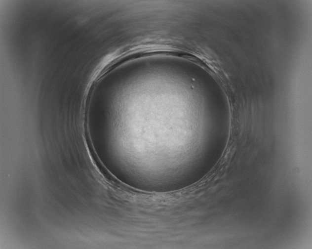 X0000068740003200604281152