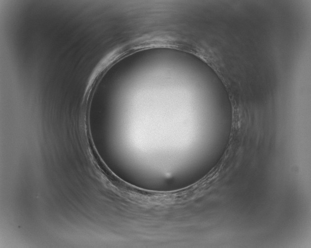 X0000068740004200604281152