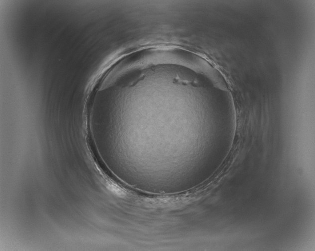 X0000068740005200604281151