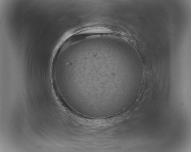 X0000068740006200604281151