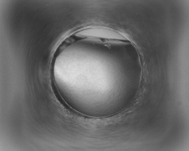 X0000068740007200604281151