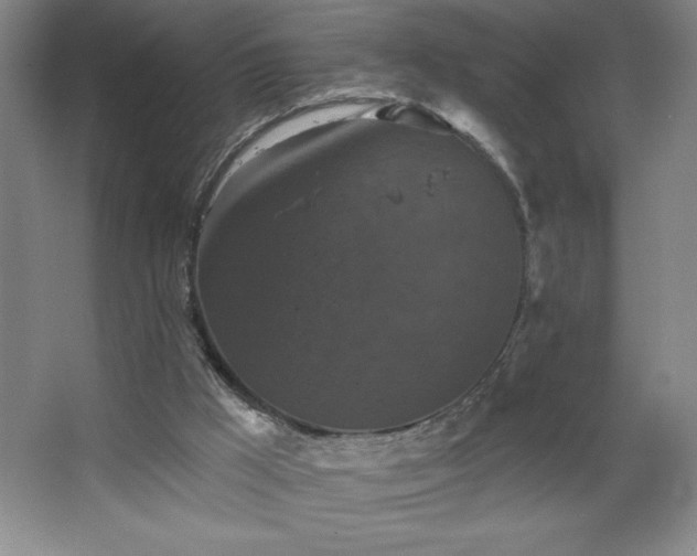 X0000068740009200604281151