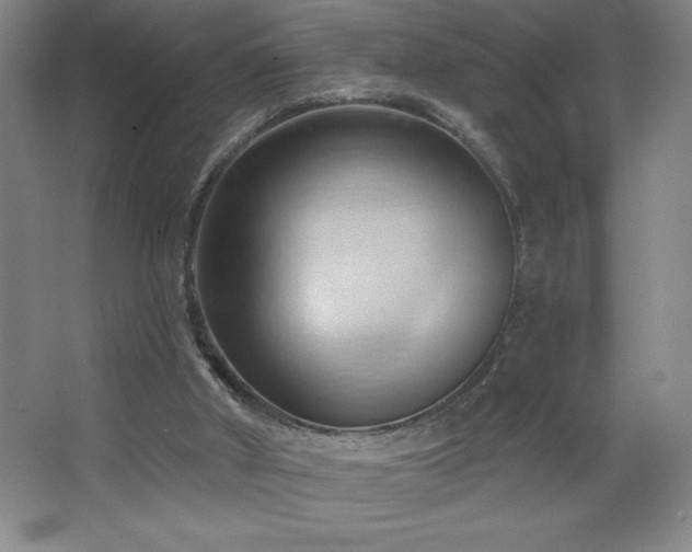 X0000068740010200604281151