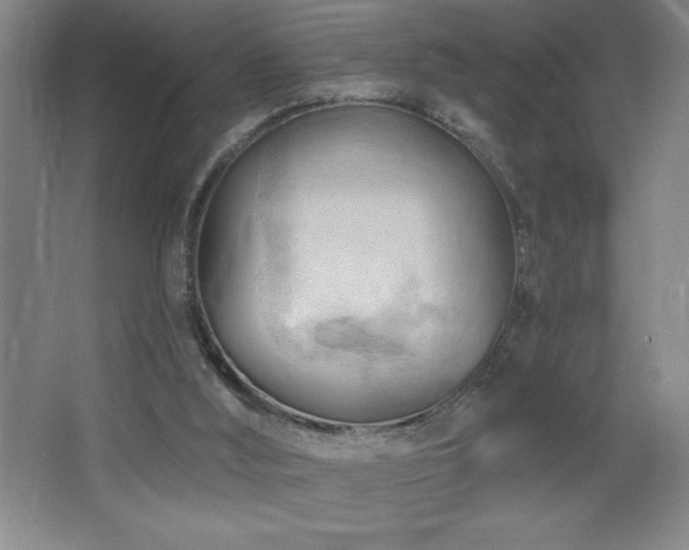 X0000068740012200604281151