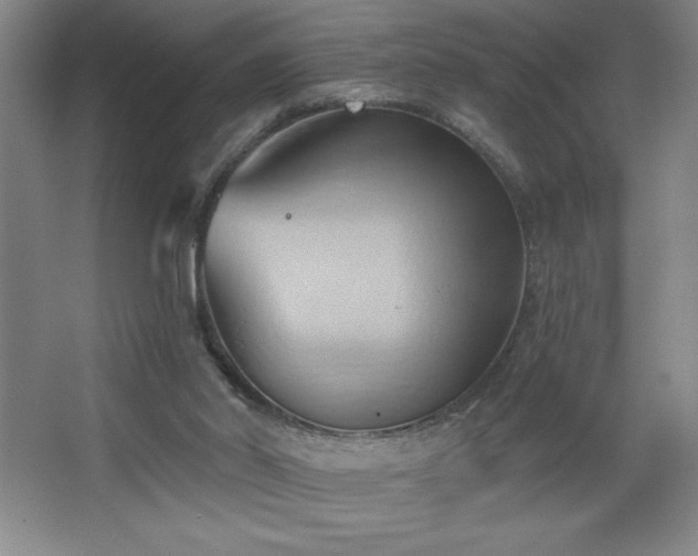 X0000068740014200604281151