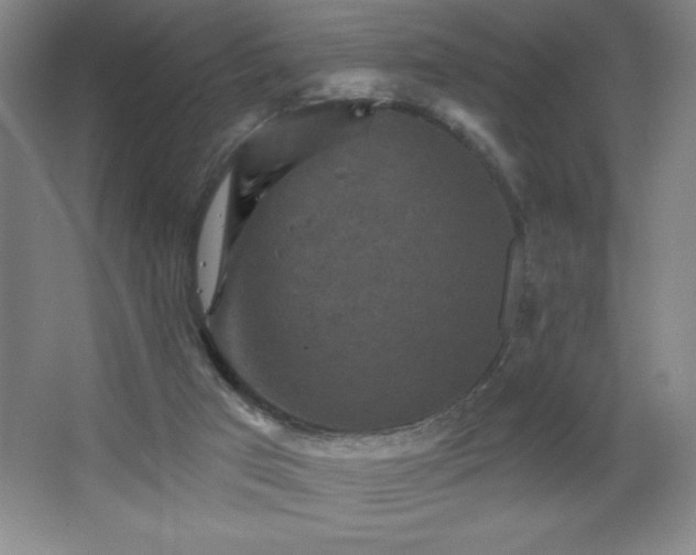 X0000068740017200604281151