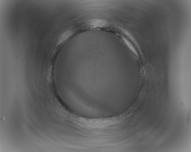 X0000068740018200604281151