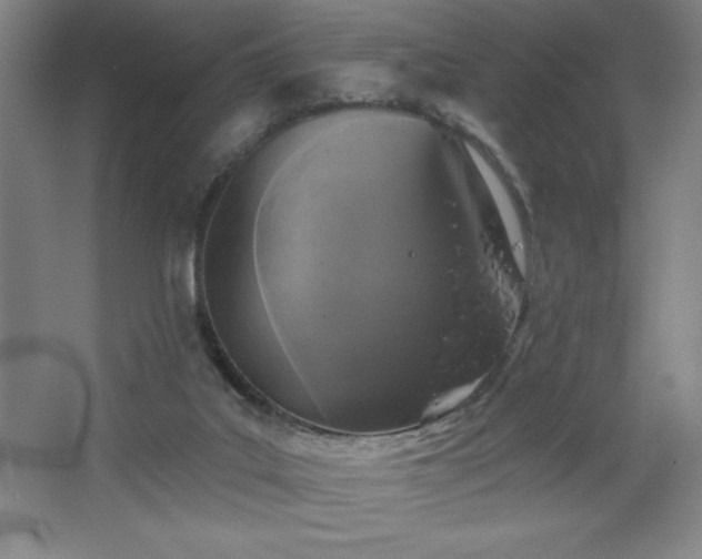 X0000068740019200604281151